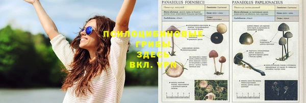 MESCALINE Белоозёрский