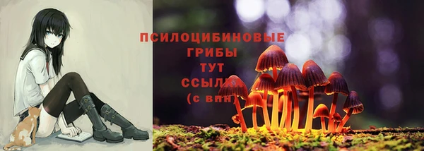 дурь Богданович