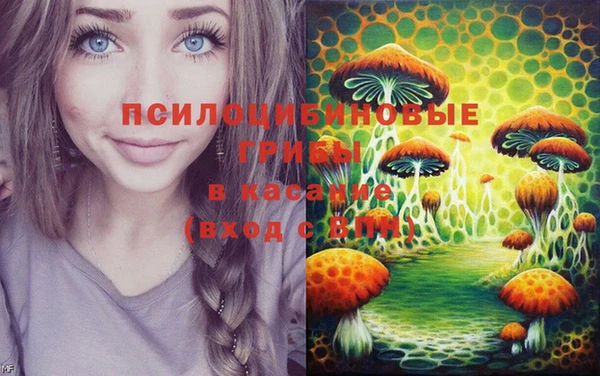 мдпв Богородицк