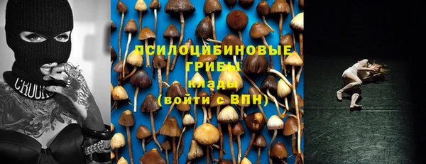 дурь Богданович